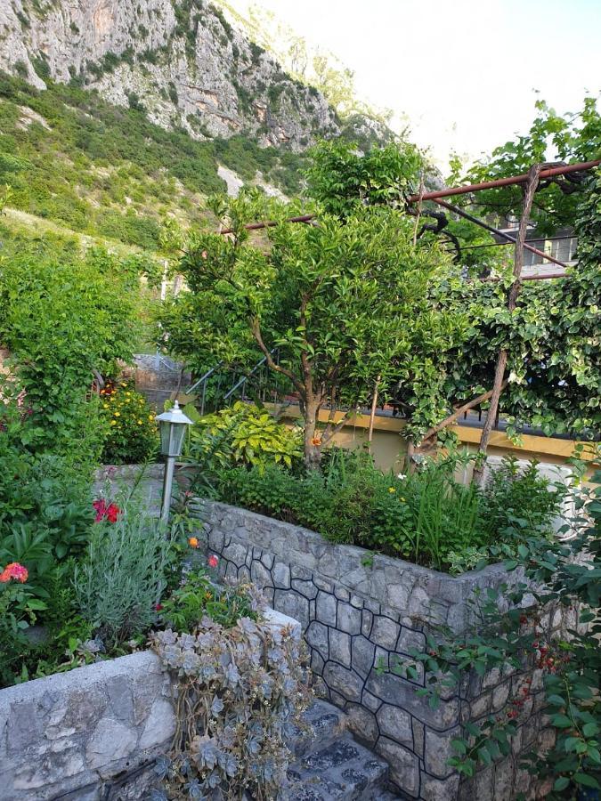 Apartment Jelena Kotor Exterior photo